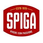 Spiga