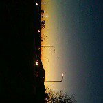 samy_love__