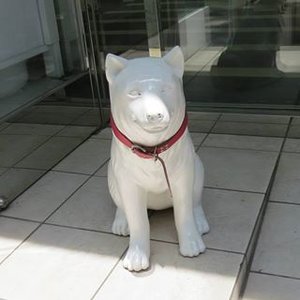 イシュン オウ