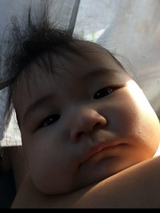Dan Choi