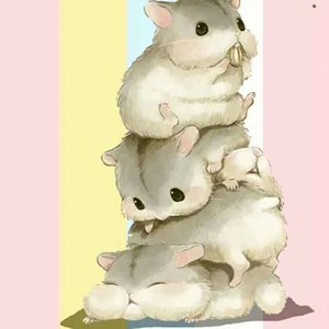 金汝骄