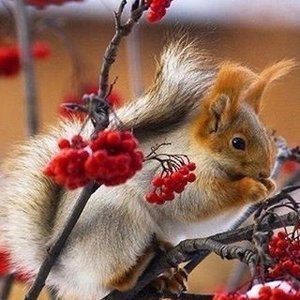 Марина Мусс