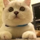 贺佳