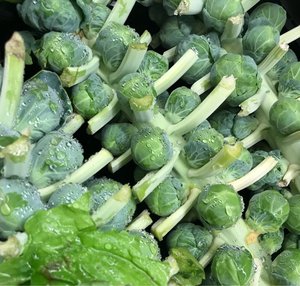 FourS Ingredients