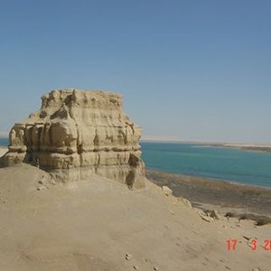 Ahmed Abo Baker Radwan