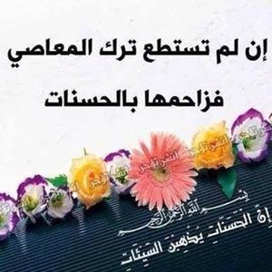 Zeineb Hadj Ali
