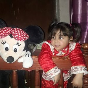 يوسف ابو شهم