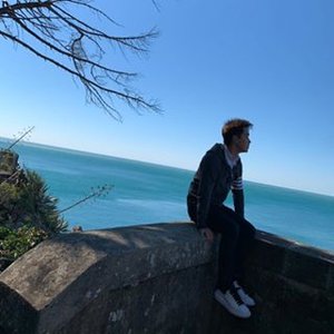 Yangshu Hu