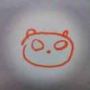 Roy Shi