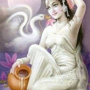 Ravinder Dheri