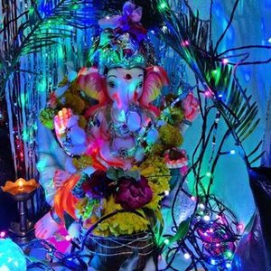 Vishal Dhakne