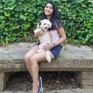 Yamini Patel