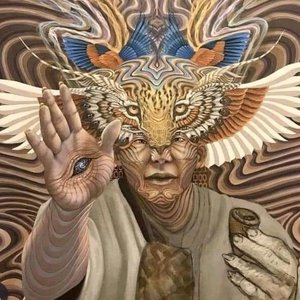 Dmt Brandon