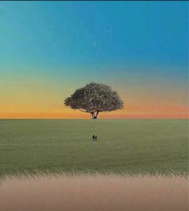 Li Wei