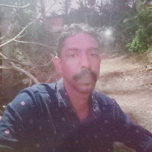NIKHIL MOHAN