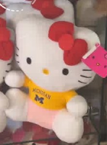 Ming Yu Amy Cheung