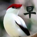 allen 金碧辉煌