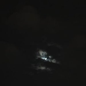 Ulverse Sun