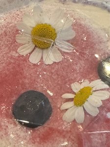 🧸 🎀
