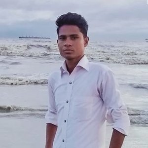 MD Hasem Ali