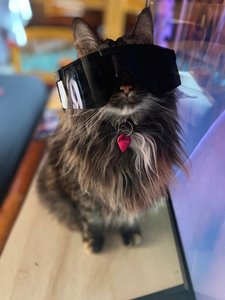 Jamie Johnson