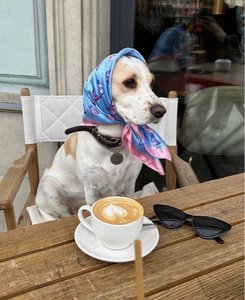 Selma Loves Coffee
