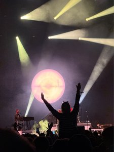 Anni Calyptic