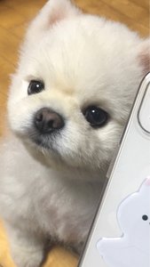 소정 윤